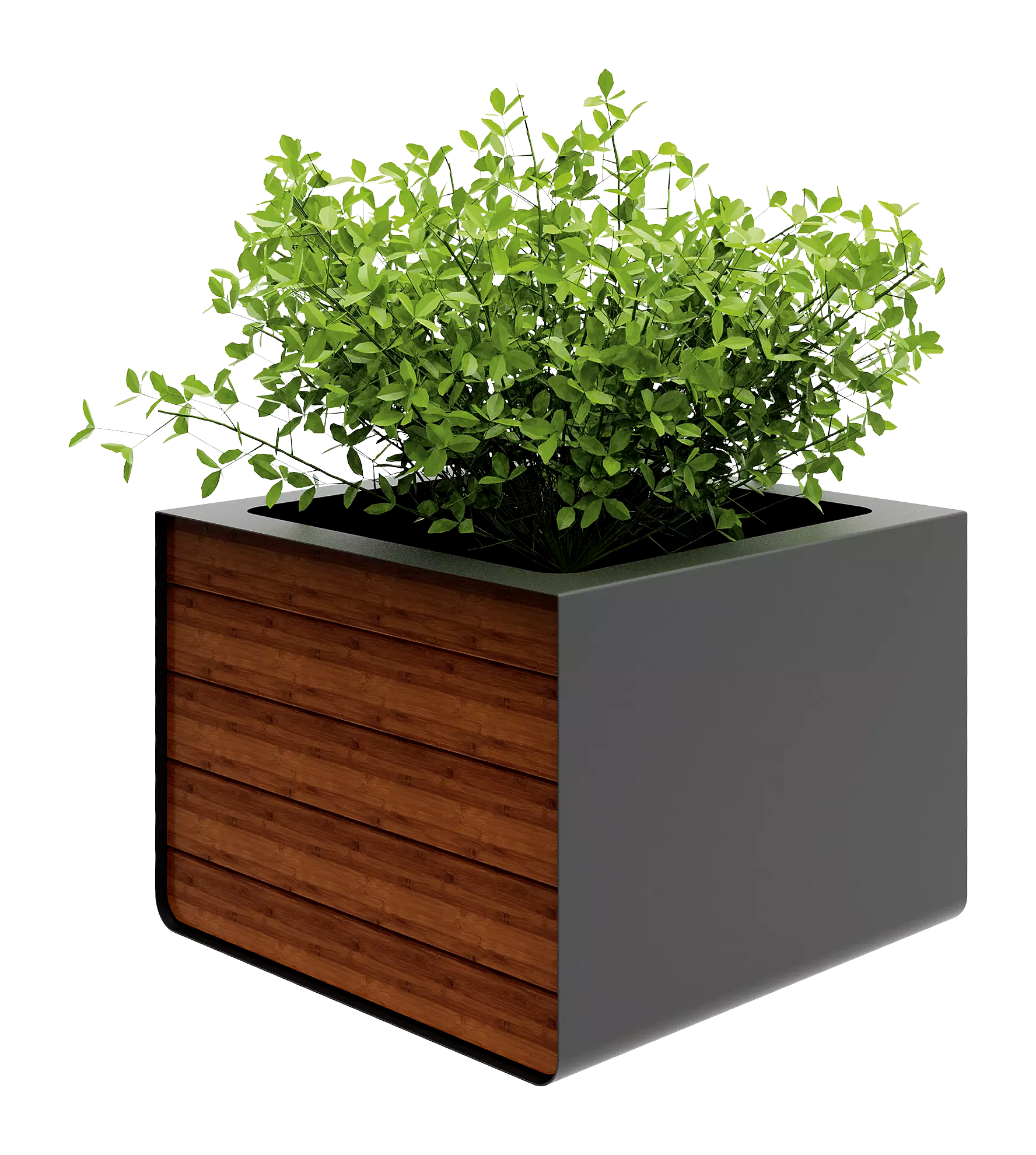 Vorschau: 2657_F_005 Vorschau: 2657_F_005